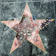 Estado en el que quedó la estrella dedicada a Trump en el Paseo de la fama